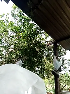 Snapshot of -Nicole-e chatting on 02-10-26, 07:12 -Nicole-e online show from 02-10-26, 07:12