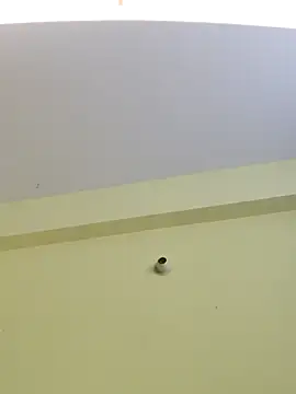 trinasa online show from 04-08-26, 07:47