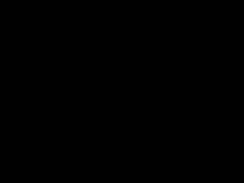 Blackkksnow online show from 07-24-26, 11:41
