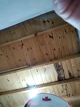 denise2028 online show from 01-15-26, 09:29