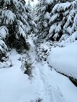 Snapshot of Marina_und_Jayden chatting on 02-18-26, 02:24 Marina und Jayden online show from 02-18-26, 02:24