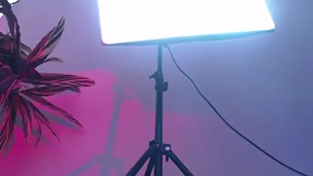 KimiNaru online show from 03-03-26, 04:24