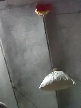 kulwantj online show from 01-18-26, 01:59