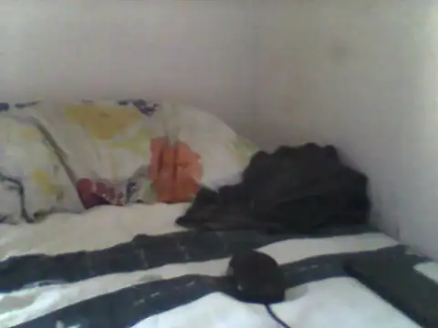 handsomeguy02 online show from 04-14-26, 02:45