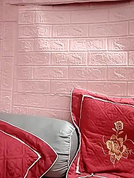 NgocLinh 69 online show from 04-11-26, 03:27