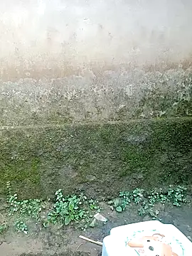 out-lustt online show from 04-20-26, 09:45