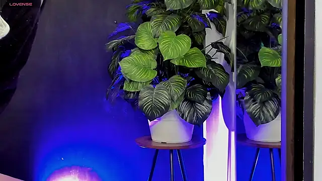 Noaah25  online show from 03-22-26, 03:21