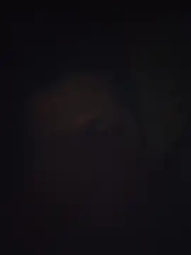 Pravin9562 online show from 03-04-26, 07:09