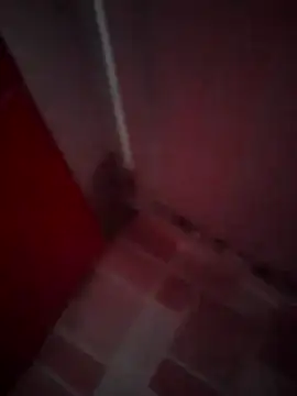 Cz Drax online show from 02-11-26, 06:24