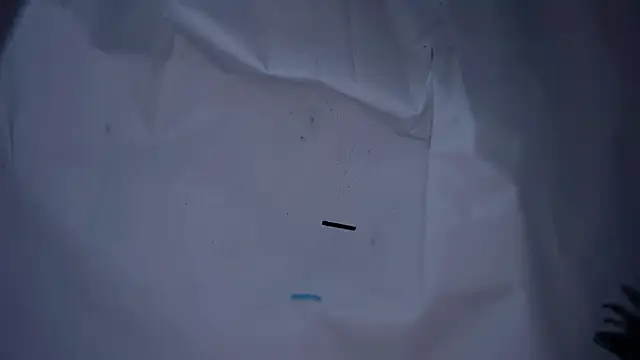 lx667788 online show from 01-16-26, 03:27