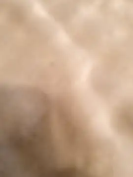 Snapshot of testmailx75 chatting on 02-23-26, 09:23 testmailx75 online show from 02-23-26, 09:23