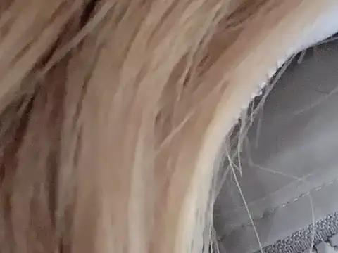 dingding-520 online show from 03-04-26, 01:06