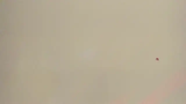 Snapshot of Melanie__Evans chatting on 05-12-26, 10:56 Melanie Evans online show from 05-12-26, 10:56