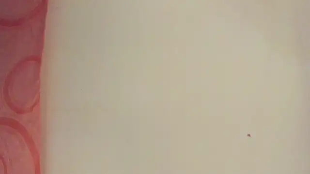 Snapshot of Melanie__Evans chatting on 05-15-26, 10:55 Melanie Evans online show from 05-15-26, 10:55