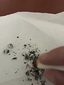 Snapshot of dickdondra chatting on 02-02-26, 11:42 dickdondra online show from 02-02-26, 11:42