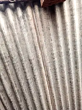 Riyakumari hot66 online show from 04-21-26, 05:25