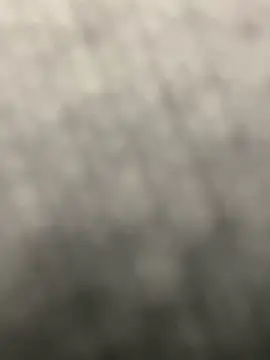 pizza pa online show from 03-31-26, 01:55