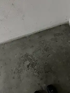 Wvpppp online show from 04-05-26, 05:32