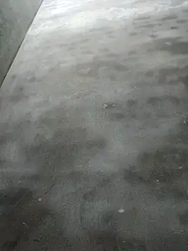 Sgs594802799 online show from 04-22-26, 08:17