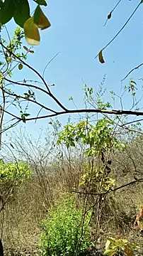 Krishna-10 online show from 04-22-26, 04:59