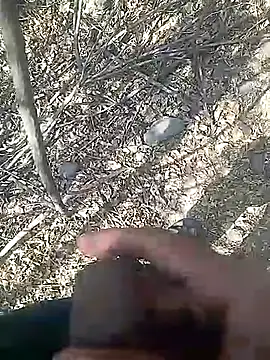 Cute Boy 4 online show from 02-23-26, 08:01