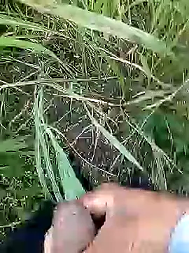 Cute Boy 4 online show from 04-11-26, 02:38