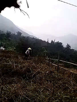 Tina-beo online show from 03-27-26, 09:42