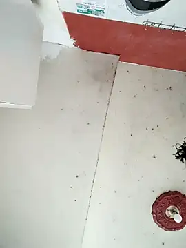 cynliu online show from 04-14-26, 02:23