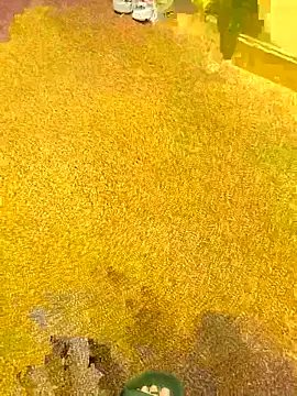 michaarMichaels online show from 04-05-26, 06:54