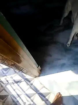 Snapshot of rubitrides11 chatting on 02-18-26, 06:09 rubitrides11 online show from 02-18-26, 06:09