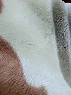 Vhi52 online show from 04-27-26, 10:08