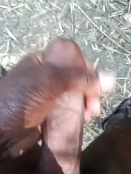 kalai 32 online show from 02-17-26, 06:10