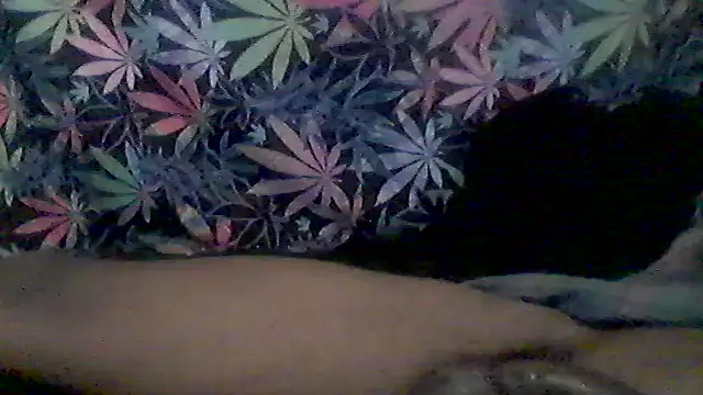 libraxxxstudios online show from 06-09-26, 04:57