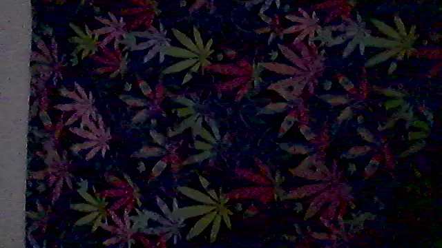 libraxxxstudios online show from 07-03-26, 12:11