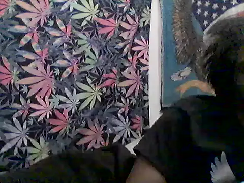 libraxxxstudios online show from 07-23-26, 09:51