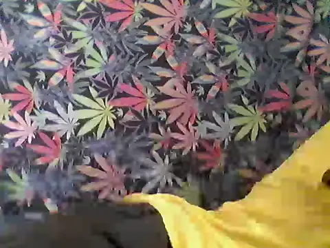 libraxxxstudios online show from 07-24-26, 09:57