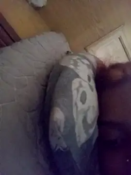 loveofpetitegirls34 online show from 02-21-26, 08:26