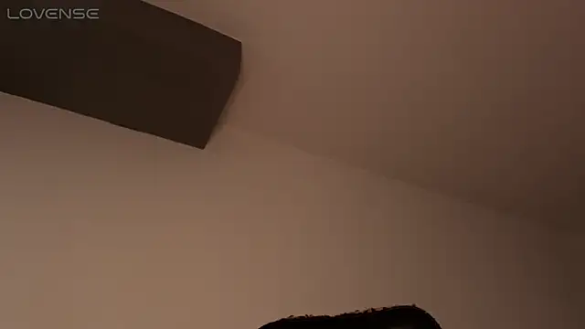 BjornSteel online show from 02-27-26, 06:13