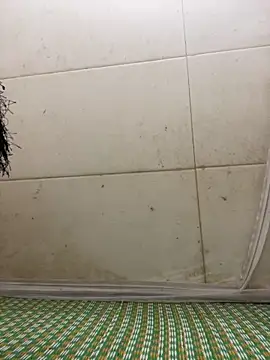 Miu Xinh online show from 04-07-26, 06:19