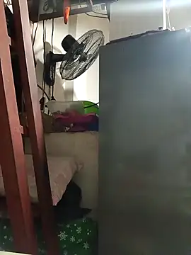 Snapshot of Wildcam21 chatting on 02-19-26, 04:30 Wildcam21 online show from 02-19-26, 04:30