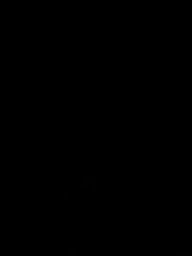 Linka998 online show from 07-06-26, 06:43