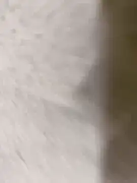 chennai sexyboy online show from 02-08-26, 04:32