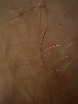 Snapshot of benoitxxx chatting on 03-12-26, 06:47 benoitxxx online show from 03-12-26, 06:47