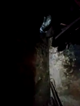 molly-xx online show from 03-13-26, 11:00