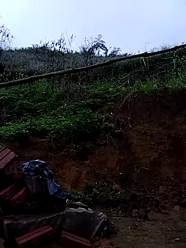 lovely-742 online show from 03-12-26, 02:07