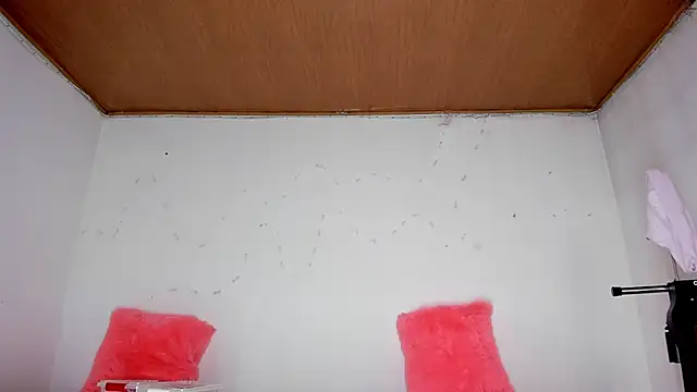 karol kane online show from 02-13-26, 03:19