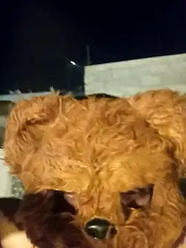 Chondo79 online show from 03-27-26, 07:03