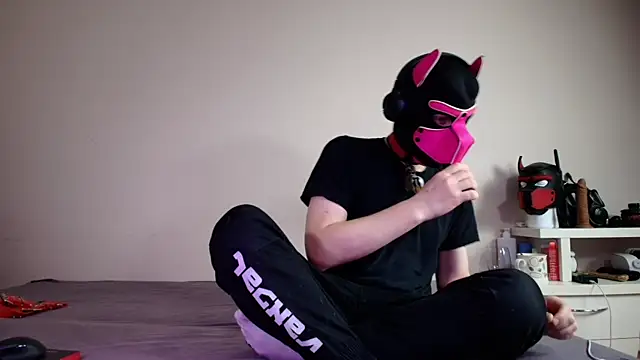 K9 GoodBoy online show from 06-18-26, 05:28