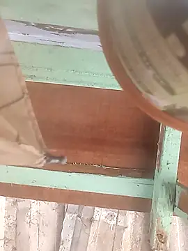 euchapo99 online show from 02-19-26, 01:51