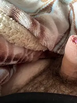 D4n13l47 online show from 03-05-26, 10:33